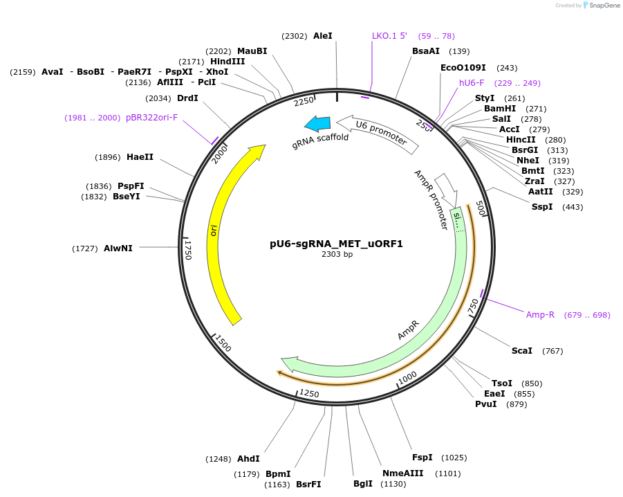 450174_map