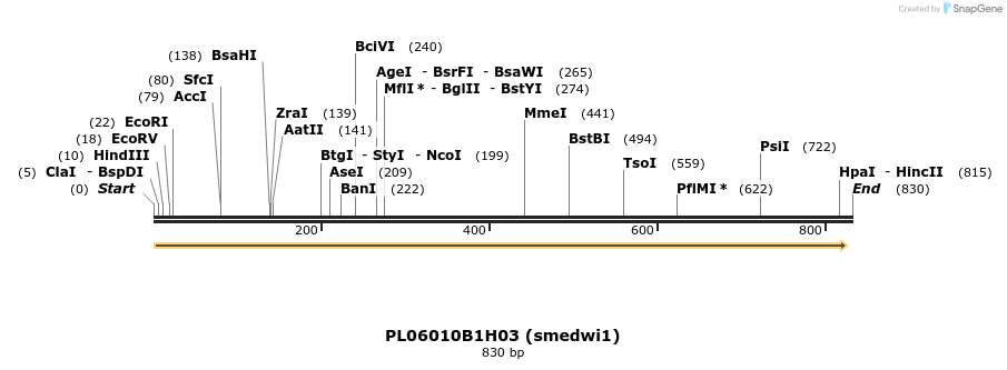 45018_map