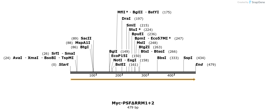 45019_map