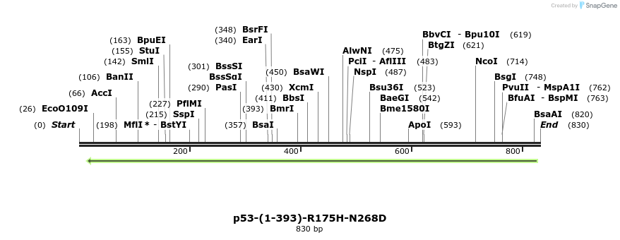 45020_map