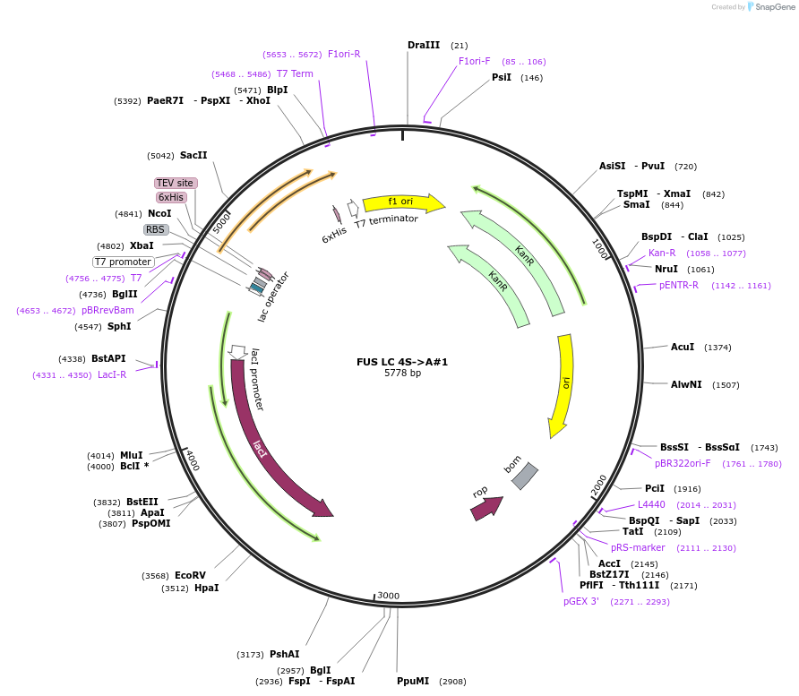 450203_map