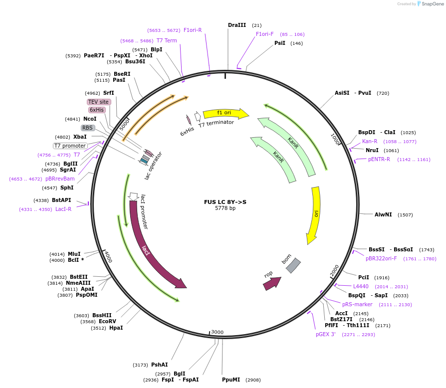 450207_map