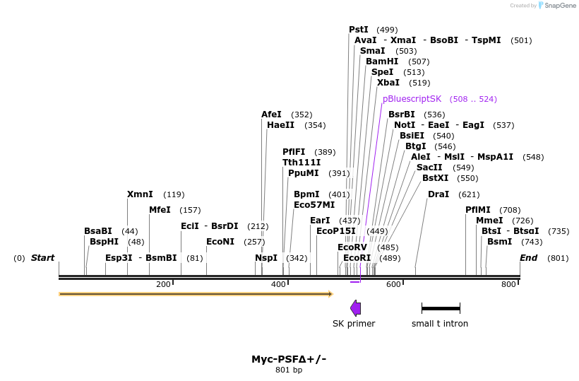 45022_map