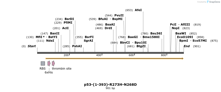 45023_map