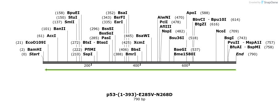 45026_map