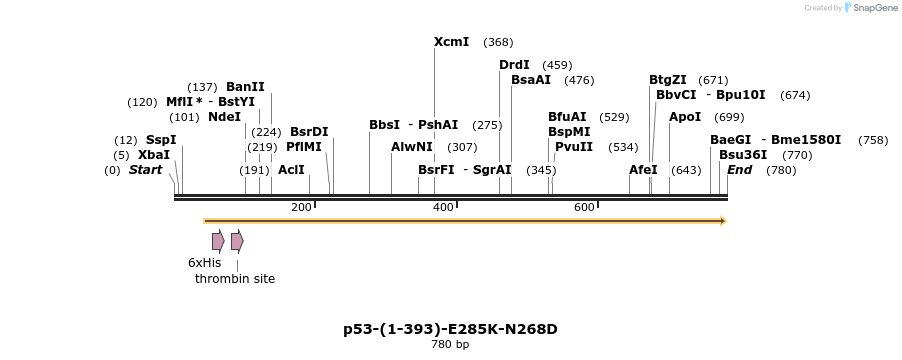 45027_map