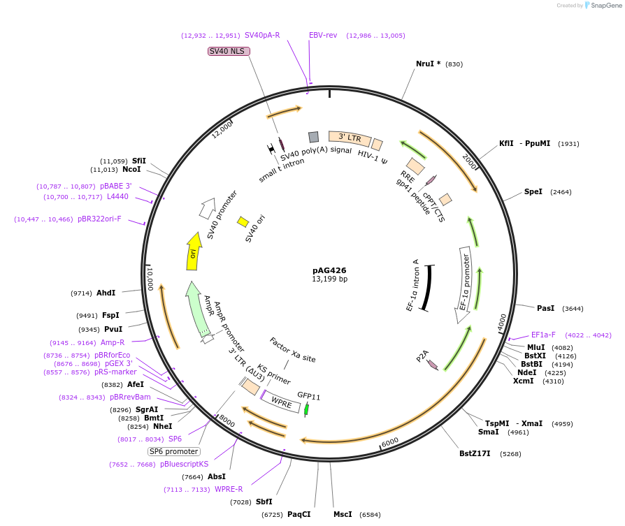 450271_map