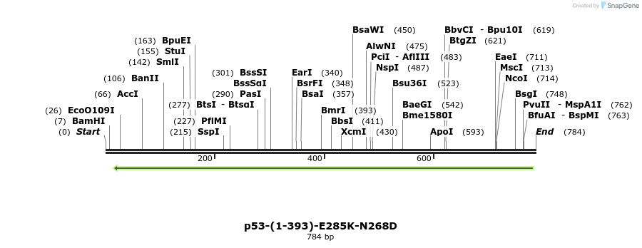 45028_map