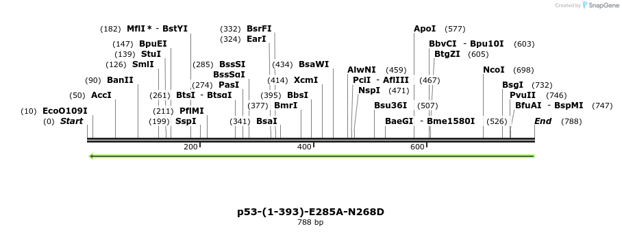 45031_map