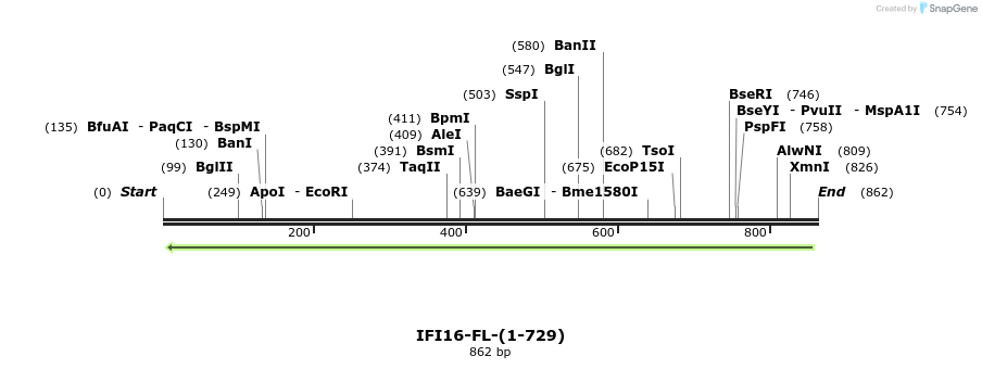 45032_map