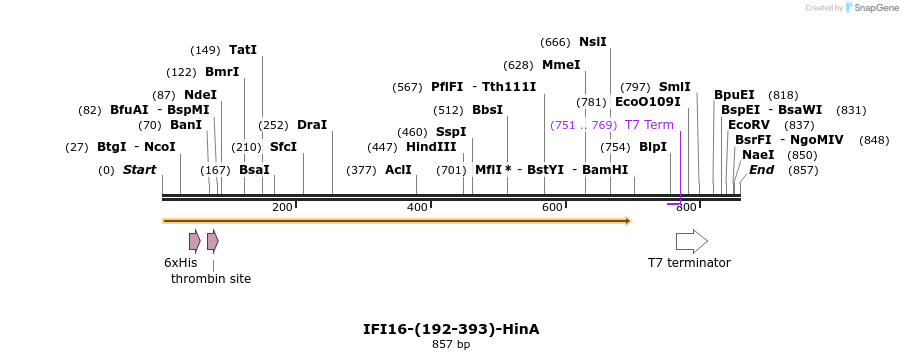 45033_map