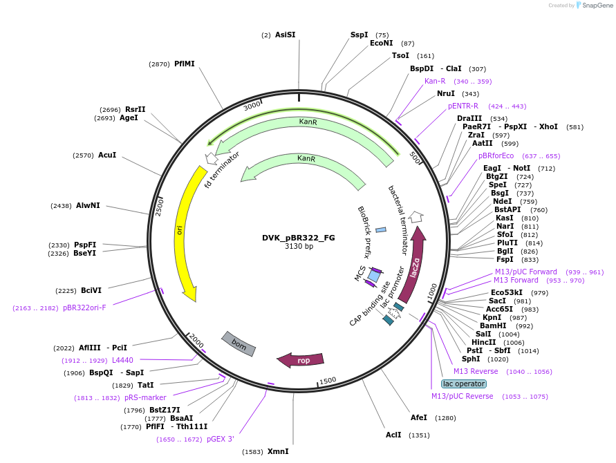 450353_map