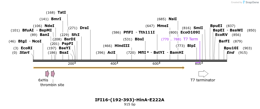 45037_map