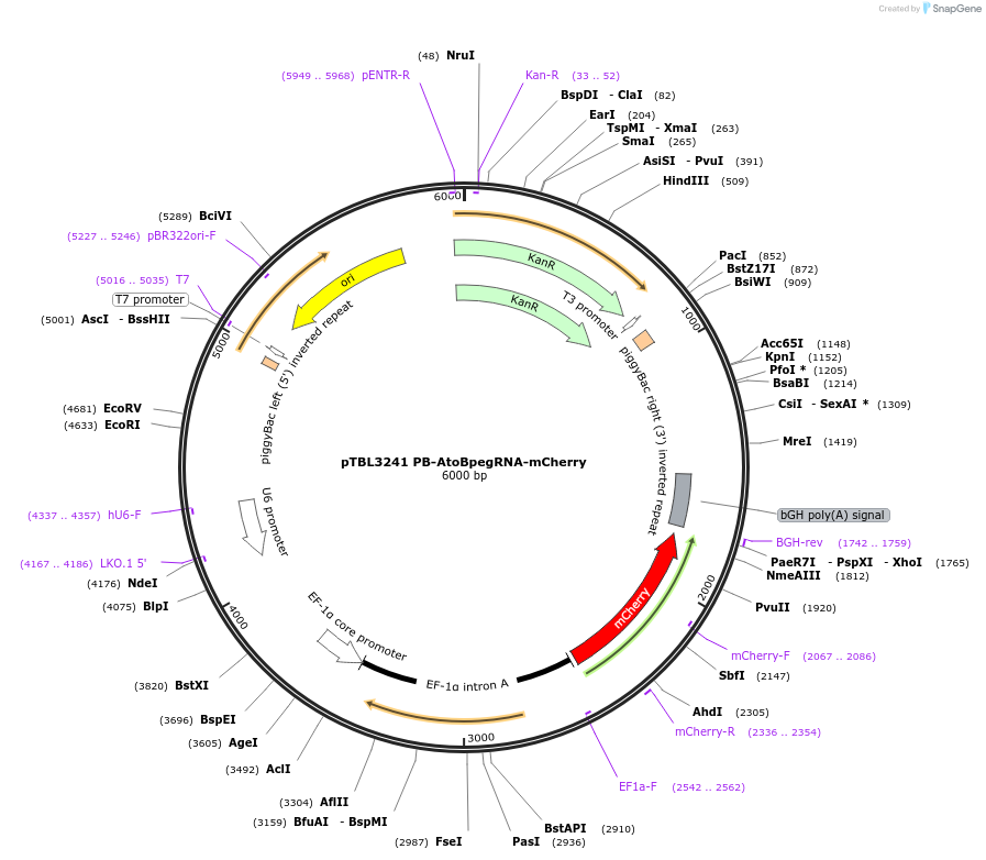 450390_map
