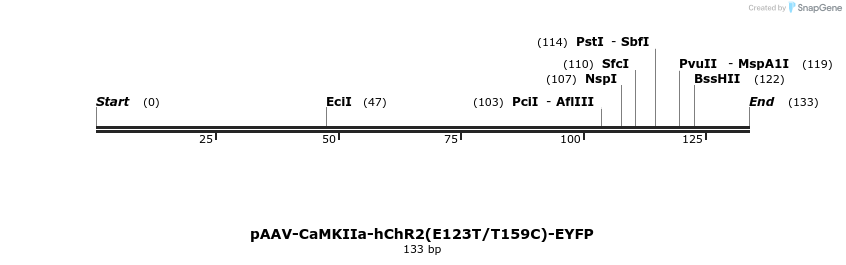 45046_map