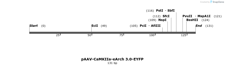 45048_map