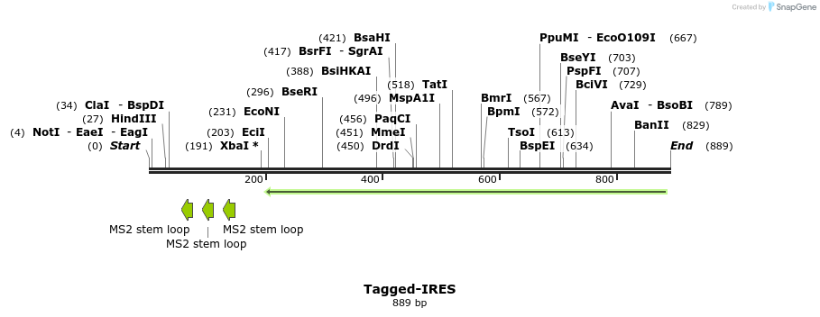 45049_map