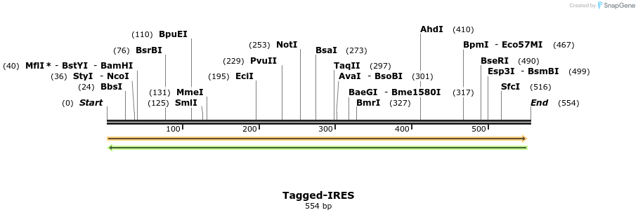 45050_map