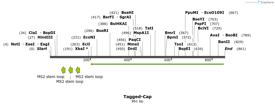 45051_map