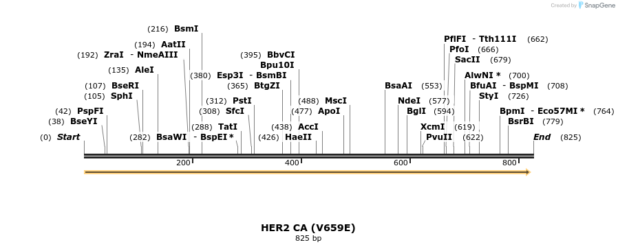 45052_map