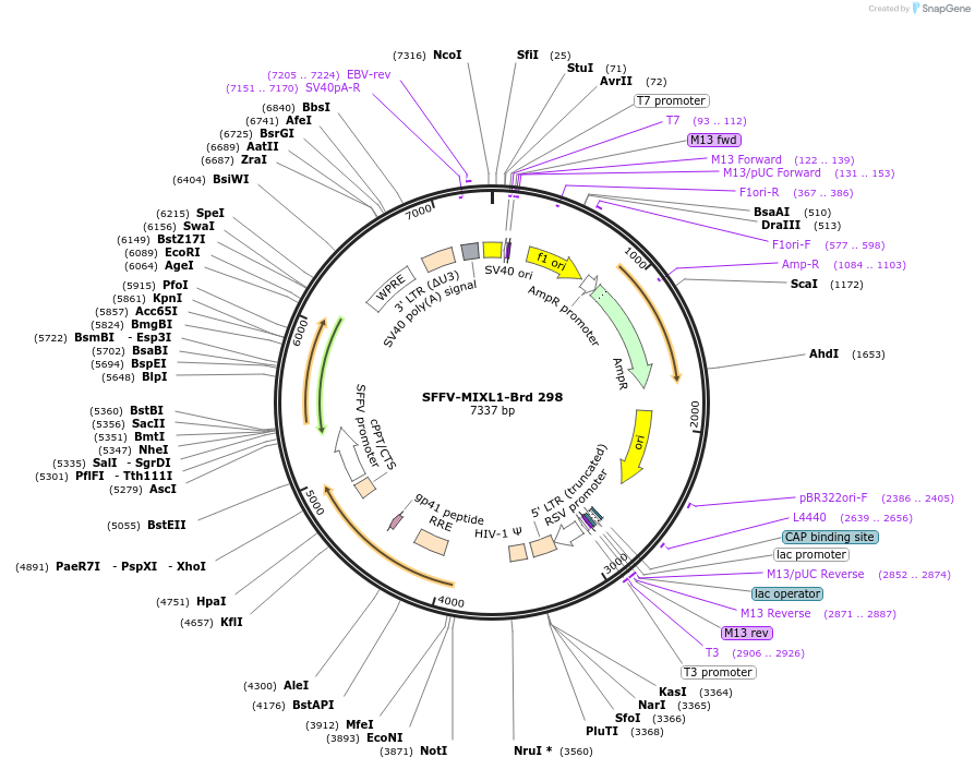 450529_map