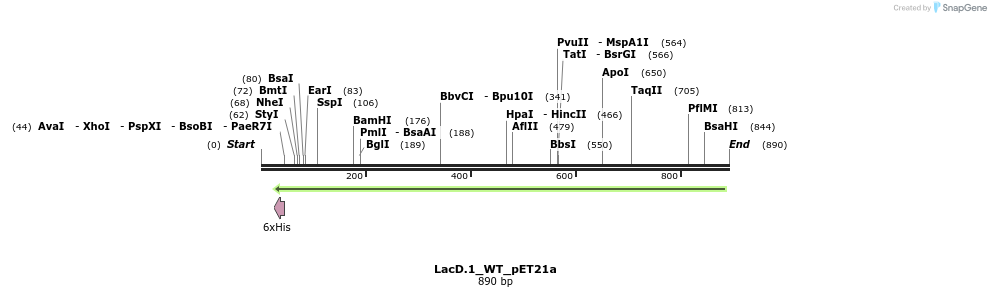 45053_map