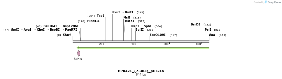 45055_map