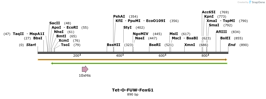 45056_map