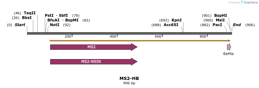 45058_map
