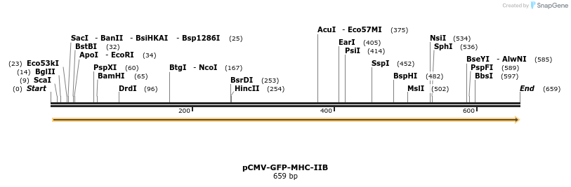 45068_map