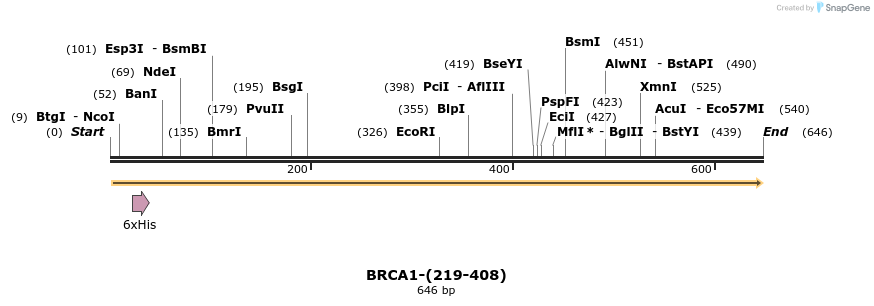 45069_map