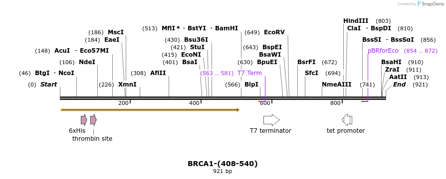 45071_map