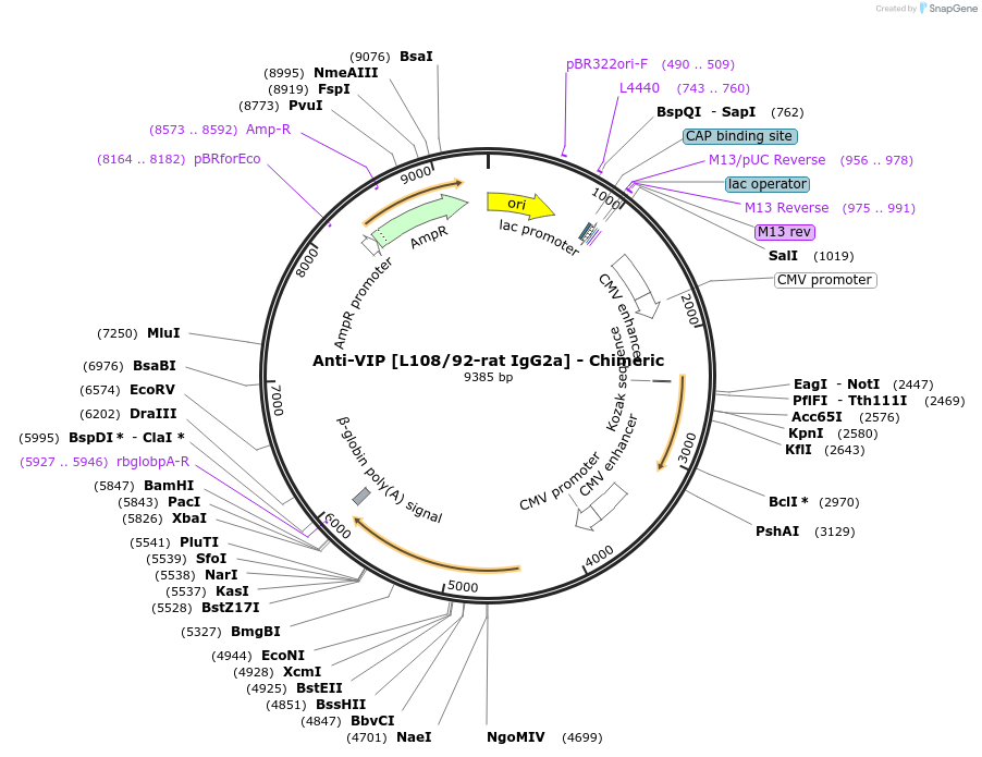 227082-plasmid-map-sequence-id-450721