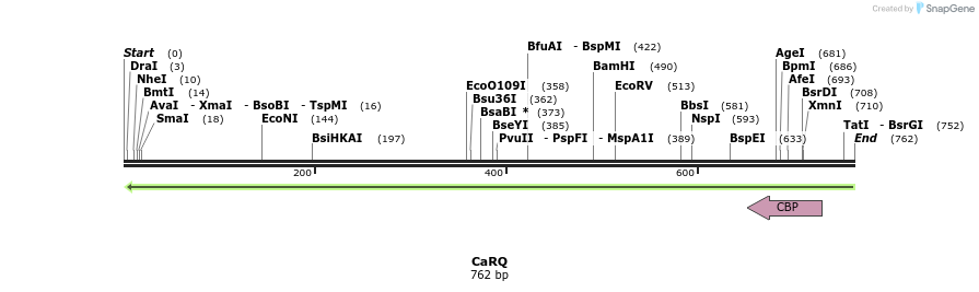 45073_map
