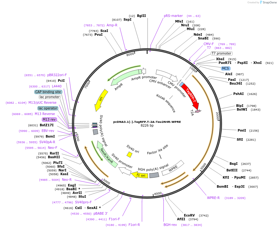 450730_map