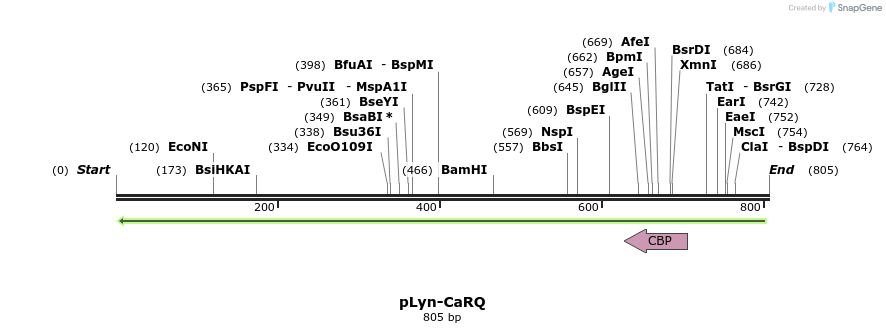45076_map