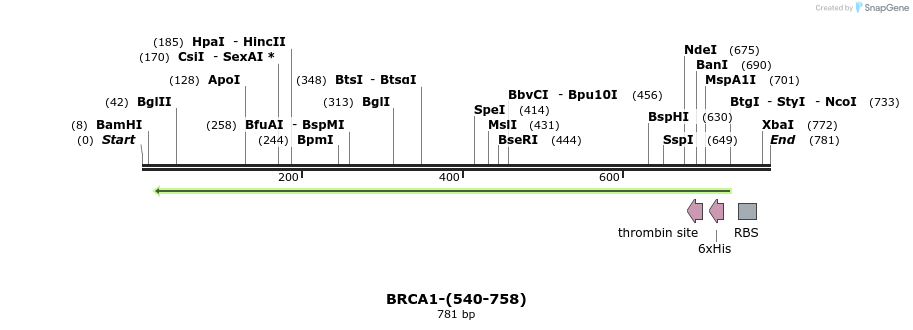 45077_map