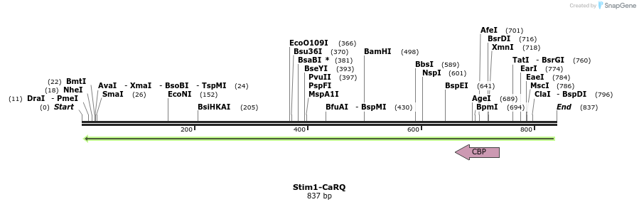 45079_map