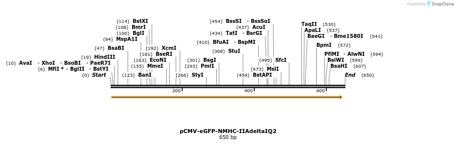 45080_map