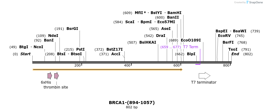45081_map