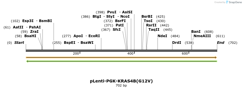 45086_map