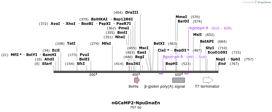 45087_map