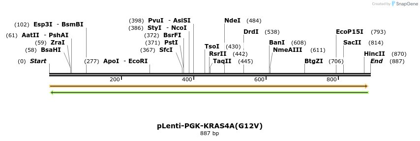 45088_map
