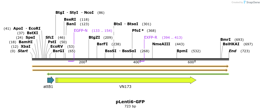 45093_map