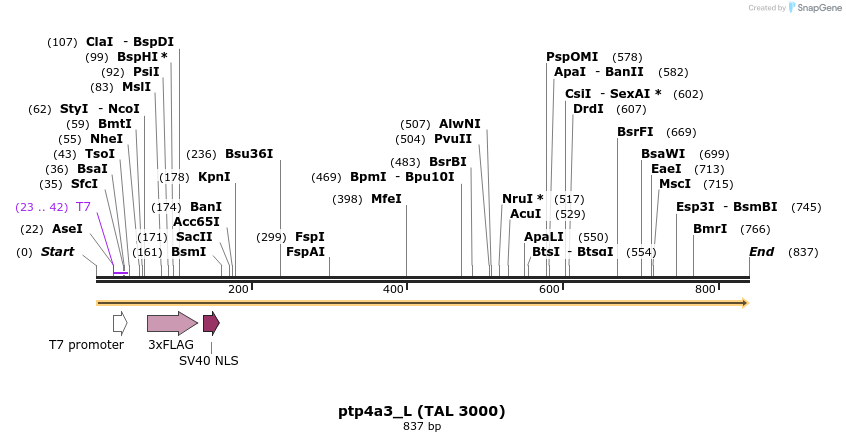 45097_map