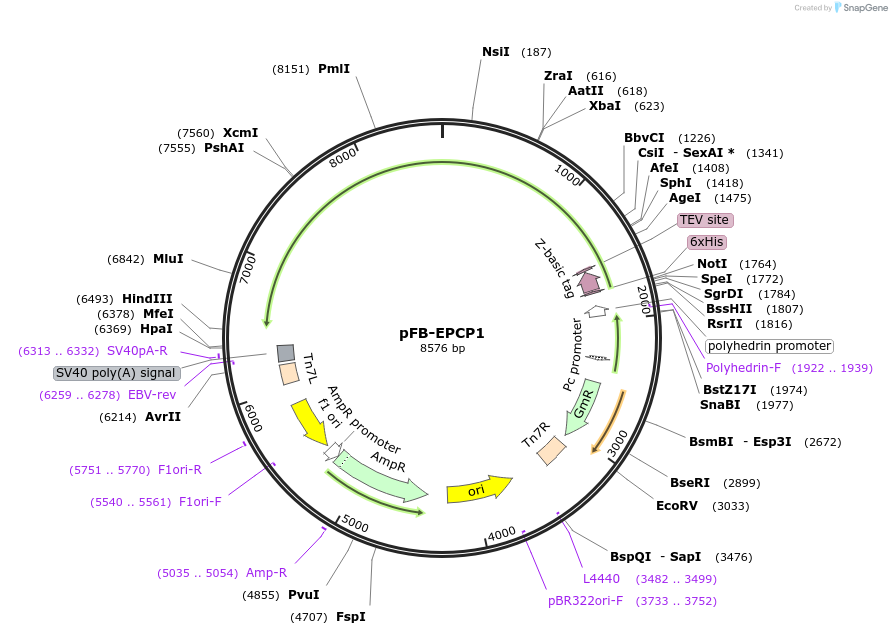450970_map