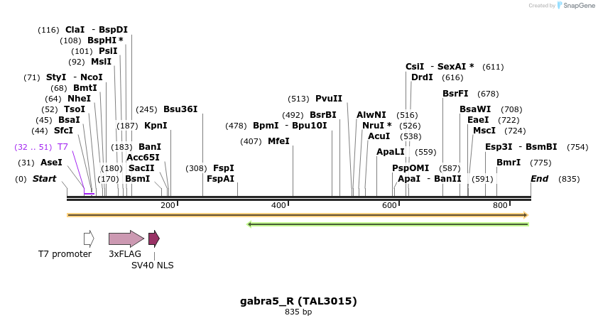 45101_map