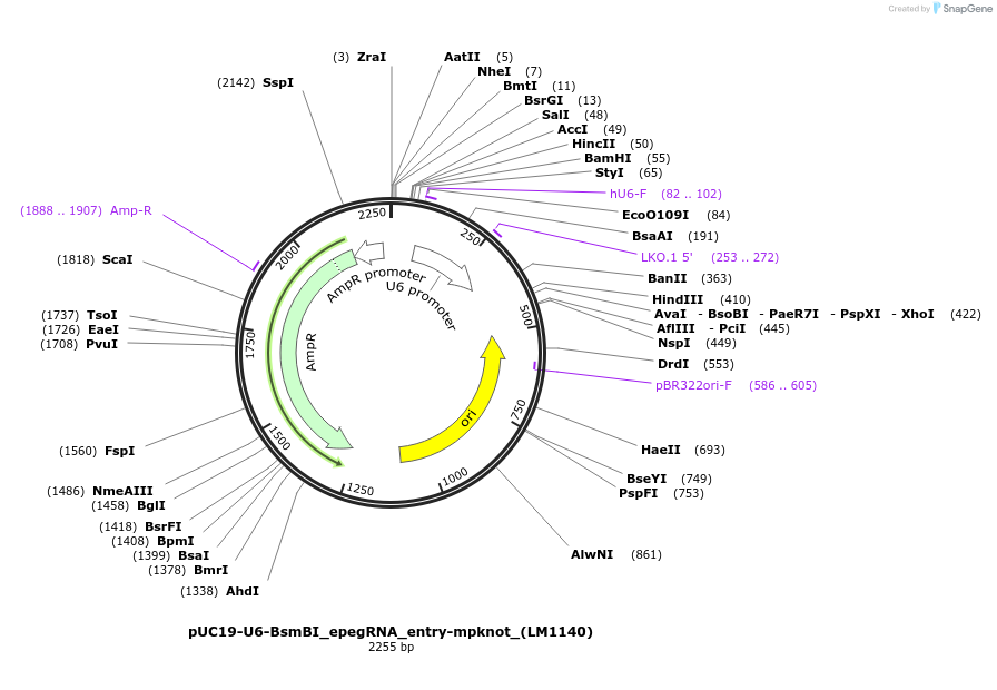 451024_map