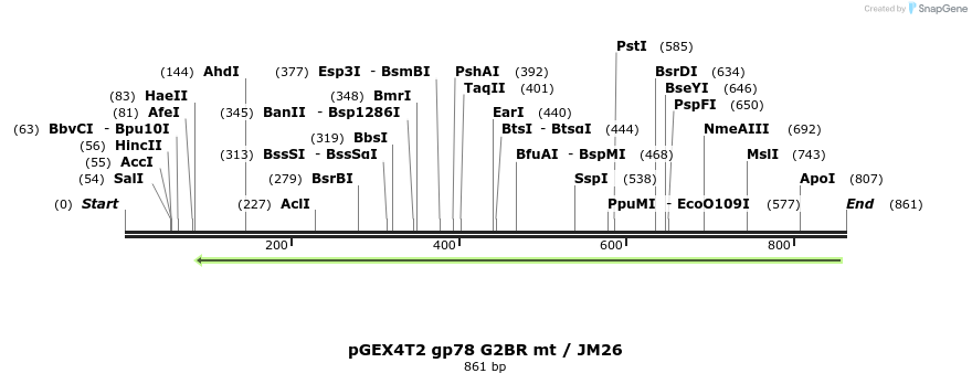 45103_map