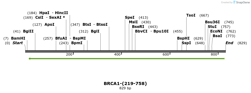 45104_map